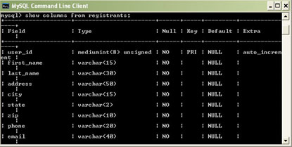 A screen shot of the database I designed
