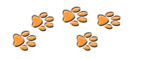 Paw prints to the future